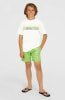 O'Neill Original Cali 14 Badeshorts