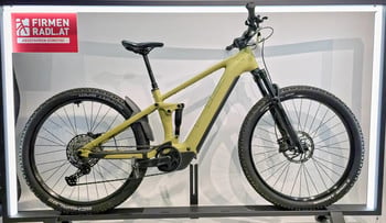 Grünes E-Bike mit Federung und Aufschrift FIRMEN RADL.AT.