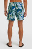 O'Neill Print Badeshorts