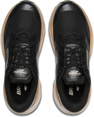 Brooks Cascadia 19 GTX Traillaufschuhe