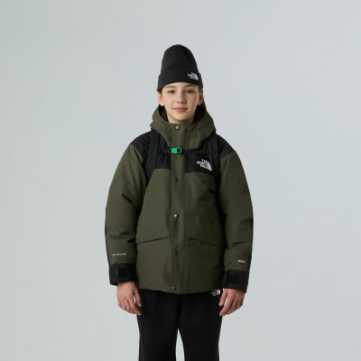 The North Face THE NORTH FACE Y Court Jester Daybag