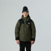 The North Face THE NORTH FACE Y Court Jester Daybag