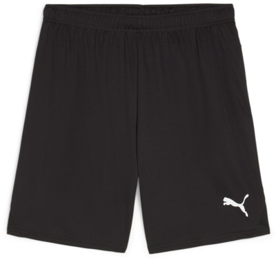 Puma teamGOAL Shorts
