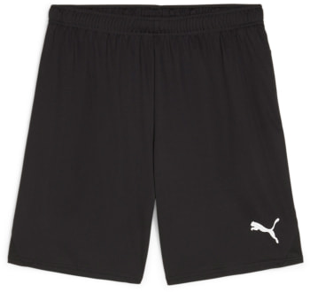 Puma teamGOAL Shorts