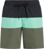 Firefly Natal II Badeshorts