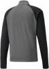 Puma teamLIGA Quarter-Zip Fußballshirt