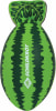 Schildkröt Neopren Splash Watermelon Ball