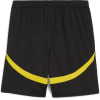 Puma Borussia Dortmund 24/25 Shorts