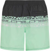 O'Neill Cali Stripe 16 Badeshorts