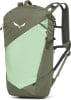 Salewa Pedroc Core 20 Traillaufrucksack
