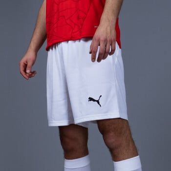ÖFB 2024 Fußballshorts Replica