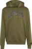 adidas Linear Camo Graphic Hoodie