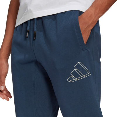 adidas Graphic Trainingshose
