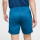 Dri-FIT Academy Pro Soccer Shorts