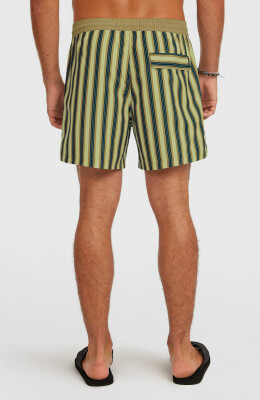 O'Neill O'Riginals Stripe Badeshort