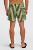 O'Neill O'Riginals Stripe Badeshort
