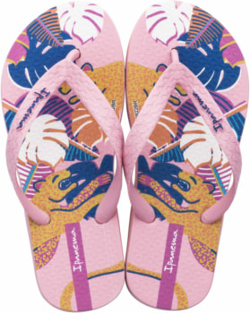 Ipanema Classic XI Flip Flops