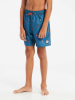 Protest Prtrocker Beachshort