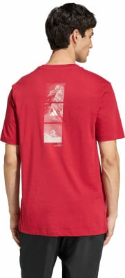 adidas Outdoor Mountain Biking Graphic T-Shirt