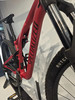 Ein rotes Mountainbike mit dem Schriftzug SPECIALIZED auf dem Rahmen.