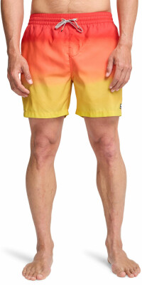 Billabong All Day Fade Badeshorts