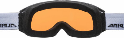 Alpina Nakiska Q Skibrille