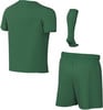 Sportbekleidung-Set: grünes T-Shirt, Shorts und Socken.