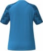 Erima Evo Star Trikot