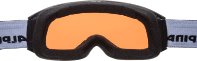 Alpina Nakiska QH Skibrille