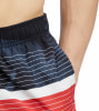 Firefly Lucio Flowline Badeshorts