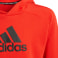 Logo Hoodie