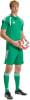 Ein Fußballer im grünen Trikot hält einen Ball, steht vor weißem Hintergrund.