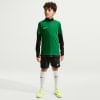 Nike Dri-FIT Park VIII Fußballtrikot