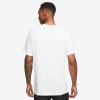 Nike M NK DF TEE HERITAGE férfi póló