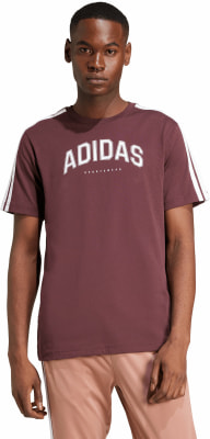 adidas Codes Collegiate Linear Graphic T-Shirt