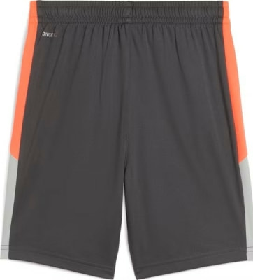 Puma IndividualFinal Fußballshorts
