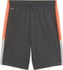Puma IndividualFinal Fußballshorts