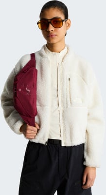 The North Face Glen Canyon Lumbar Hüfttasche