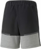 Puma teamCUP Casuals Short