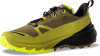 Dynafit Traverse 2 GTX Traillaufschuhe