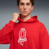 Puma ÖFB 2026 Culture Hoodie
