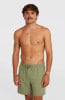 O'Neill Logo Badeshorts