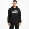 ESS Big Logo Hoodie férfi kapucnis felső