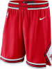 Nike NBA Chicago Bulls Icon Basketballshorts