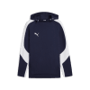 Puma teamEVOSTRIPE Hoody Kapuzensweater 77%BW 23%PES, dryCELL