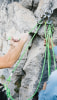 Edelrid Switch Verbindungsmittel