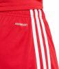 adidas SQUA25 SHO M Short AEROREADY