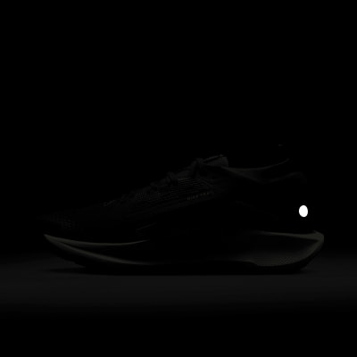 Nike Pegasus Trail 5 GTX Traillaufschuhe