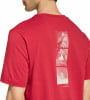 adidas Outdoor Mountain Biking Graphic T-Shirt