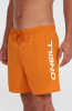 O'Neill Cali 16 Badeshorts